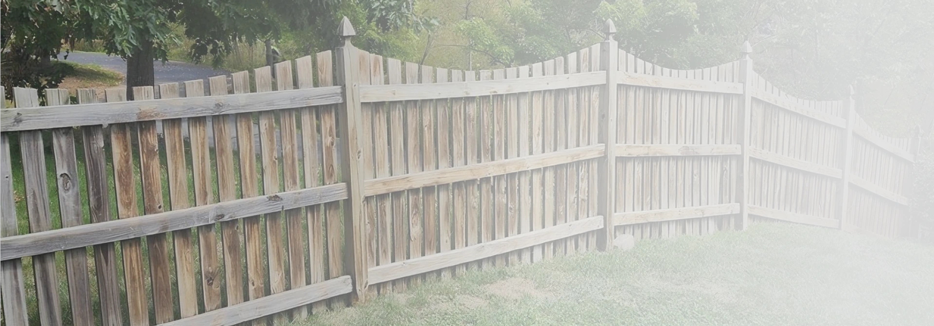 home image background 2